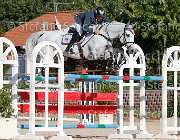 PALMIZI Corrada J GioCav2013 S6 7643 : Campionati Italiani Giovani Cavalli, Cattolica, Corrada J, PALMIZI Gianluca, ph Stefano Secchi ©